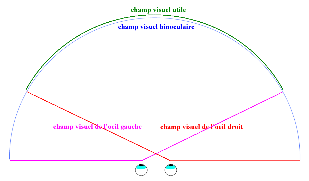 Fenetre stereo html